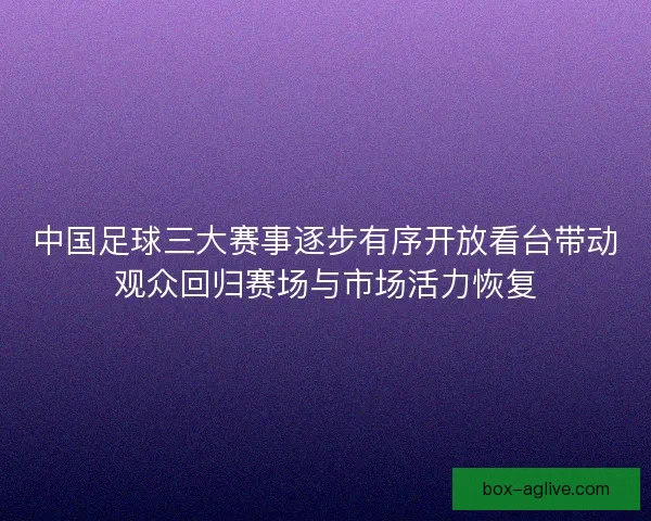 中国足球三大赛事逐步有序开放看台带动观众回归赛场与市场活力恢复